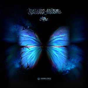 日日摸日日碰夜夜爽无码视频
