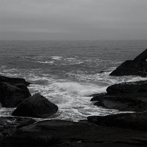 日日摸日日碰夜夜爽无码视频
