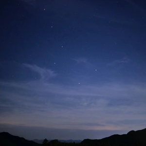 日日摸日日碰夜夜爽无码视频
