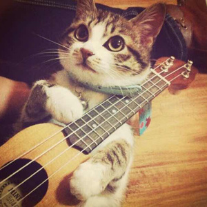 日日摸日日碰夜夜爽无码视频
