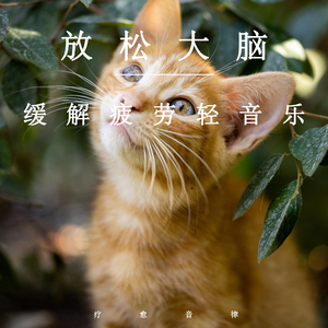 日日摸日日碰夜夜爽无码视频
